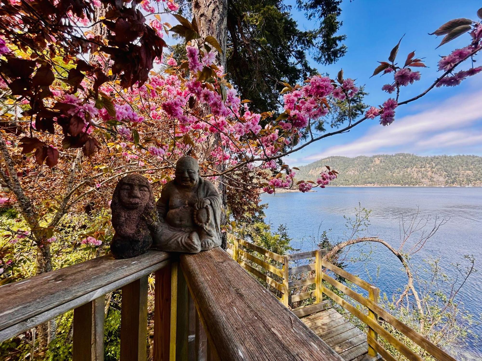 Shangrila Waterfront Vacation Home Bedwell Harbour Exteriör bild